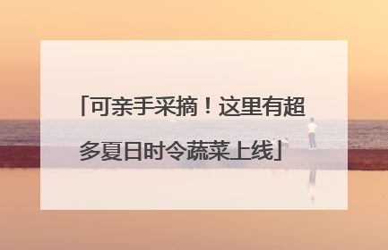 可亲手采摘！这里有超多夏日时令蔬菜上线