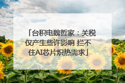 台积电魏哲家：关税仅产生些许影响 拦不住AI芯片炽热需求