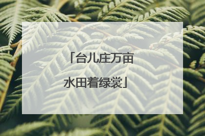 台儿庄万亩水田着绿裳