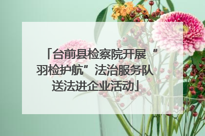 台前县检察院开展“羽检护航”法治服务队送法进企业活动