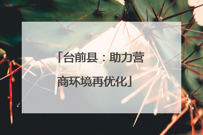 台前县：助力营商环境再优化