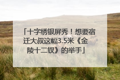 十字绣银屏秀！想要宿迁大叔这幅3.5米《金陵十二钗》的举手