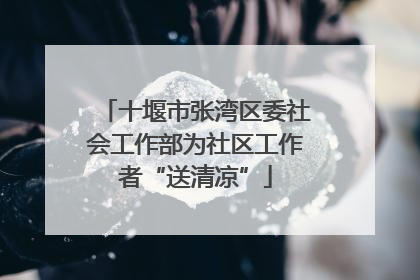 十堰市张湾区委社会工作部为社区工作者“送清凉”