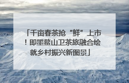 千亩春茶抢“鲜”上市！即墨鳌山卫茶旅融合绘就乡村振兴新图景