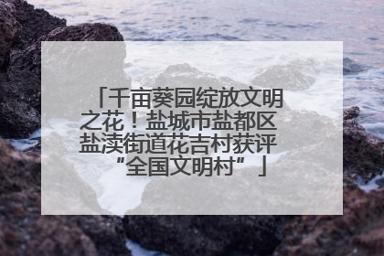 千亩葵园绽放文明之花！盐城市盐都区盐渎街道花吉村获评“全国文明村”