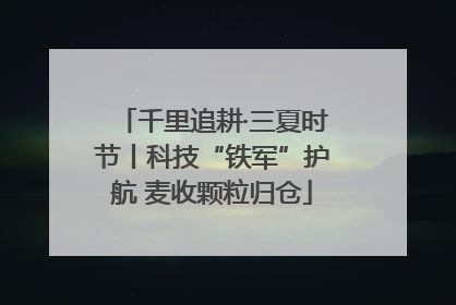 千里追耕·三夏时节丨科技“铁军”护航 麦收颗粒归仓