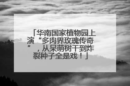 华南国家植物园上演“多肉界玫瑰传奇”，从呆萌树干到炸裂种子全是戏！