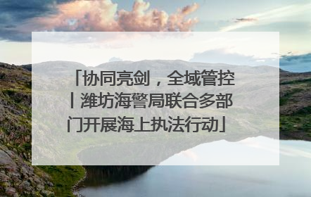 协同亮剑，全域管控丨潍坊海警局联合多部门开展海上执法行动