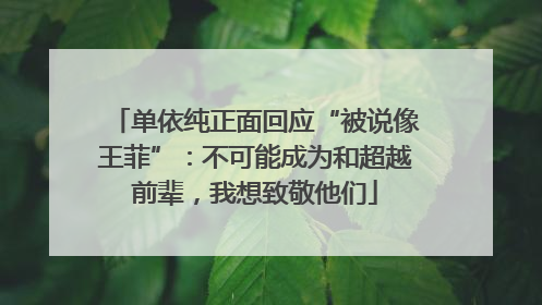 单依纯正面回应“被说像王菲”：不可能成为和超越前辈，我想致敬他们