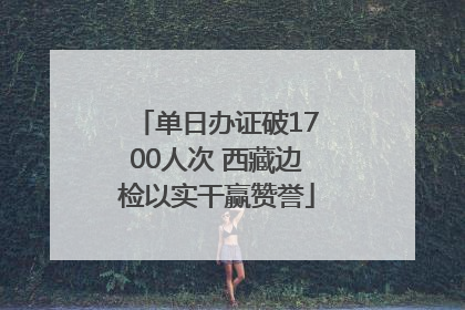 单日办证破1700人次 西藏边检以实干赢赞誉