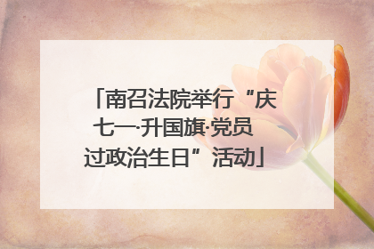 南召法院举行“庆七一·升国旗·党员过政治生日”活动