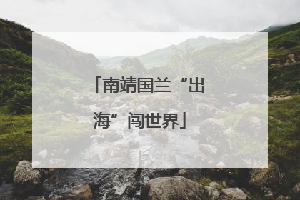 南靖国兰“出海”闯世界