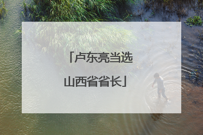 卢东亮当选山西省省长