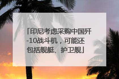 印尼考虑采购中国歼-10战斗机，可能还包括舰艇、护卫舰