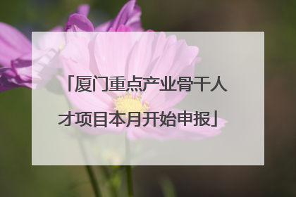 厦门重点产业骨干人才项目本月开始申报