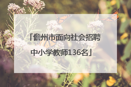 儋州市面向社会招聘中小学教师136名