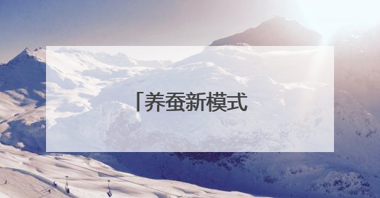 养蚕新模式带来高收益