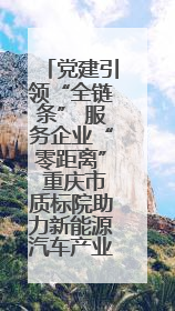 党建引领“全链条” 服务企业“零距离” 重庆市质标院助力新能源汽车产业链提升质量管理水平