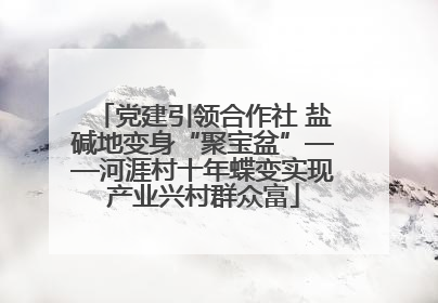 党建引领合作社 盐碱地变身“聚宝盆”——河涯村十年蝶变实现产业兴村群众富