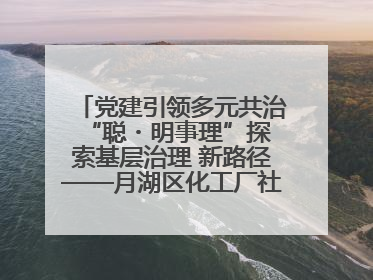 党建引领多元共治 “聪・明事理”探索基层治理 新路径——月湖区化工厂社区新实践
