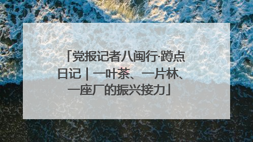 党报记者八闽行·蹲点日记｜一叶茶、一片林、一座厂的振兴接力