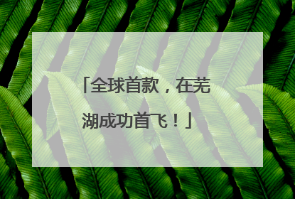 全球首款，在芜湖成功首飞！