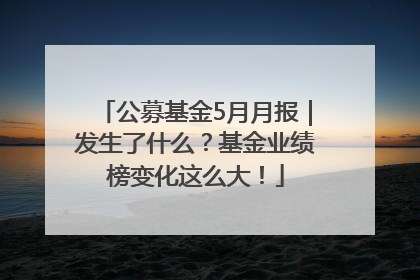 公募基金5月月报｜发生了什么？基金业绩榜变化这么大！