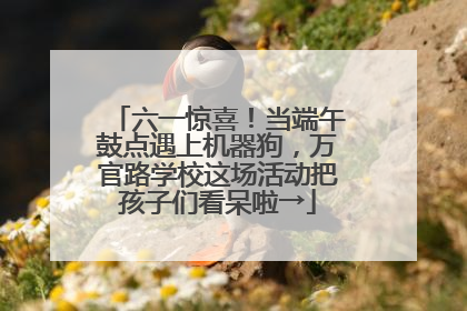 六一惊喜！当端午鼓点遇上机器狗，万官路学校这场活动把孩子们看呆啦→