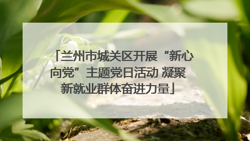 兰州市城关区开展“新心向党”主题党日活动 凝聚新就业群体奋进力量
