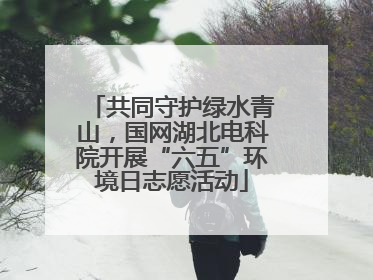 共同守护绿水青山，国网湖北电科院开展“六五”环境日志愿活动
