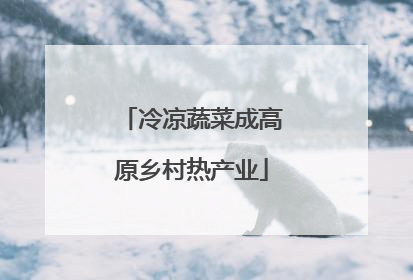 冷凉蔬菜成高原乡村热产业