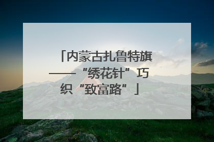 内蒙古扎鲁特旗——“绣花针”巧织“致富路”