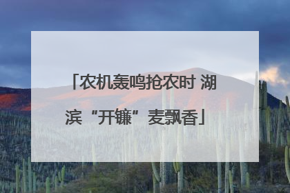 农机轰鸣抢农时 湖滨“开镰”麦飘香