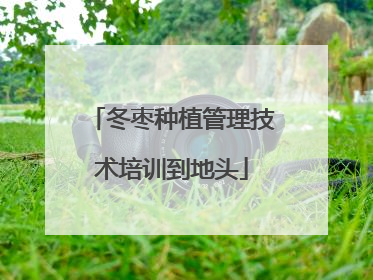 冬枣种植管理技术培训到地头