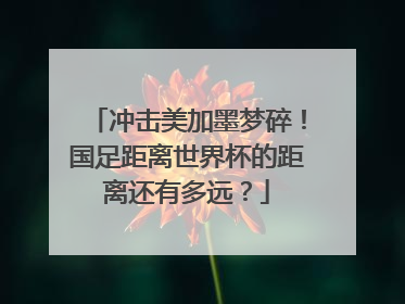 冲击美加墨梦碎！国足距离世界杯的距离还有多远？