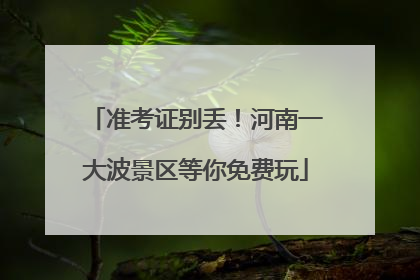 准考证别丢！河南一大波景区等你免费玩