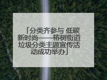 分类齐参与 低碳新时尚——椿树街道垃圾分类主题宣传活动成功举办