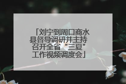 刘宁到周口商水县督导调研并主持召开全省“三夏”工作视频调度会