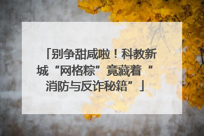 别争甜咸啦！科教新城“网格粽”竟藏着“消防与反诈秘籍”