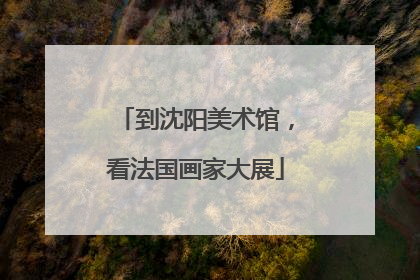 到沈阳美术馆，看法国画家大展