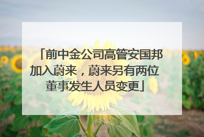 前中金公司高管安国邦加入蔚来，蔚来另有两位董事发生人员变更