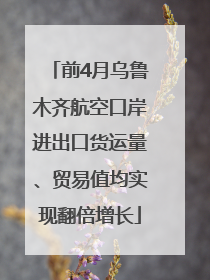 前4月乌鲁木齐航空口岸进出口货运量、贸易值均实现翻倍增长