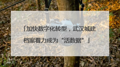 加快数字化转型，武汉城建档案着力成为“活数据”