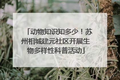 动物知识知多少！苏州相城建元社区开展生物多样性科普活动