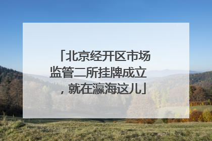 北京经开区市场监管二所挂牌成立，就在瀛海这儿