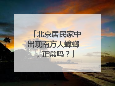 北京居民家中出现南方大蟑螂，正常吗？
