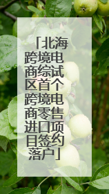 北海跨境电商综试区首个跨境电商零售进口项目签约落户