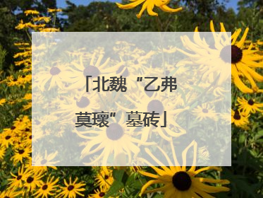 北魏“乙弗莫瓌”墓砖