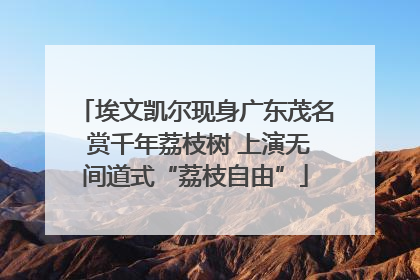 埃文凯尔现身广东茂名 赏千年荔枝树 上演无间道式“荔枝自由”