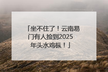 坐不住了！云南易门有人捡到2025年头水鸡枞！